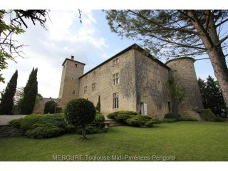 6 bedroom Castle For Sale: 31540..