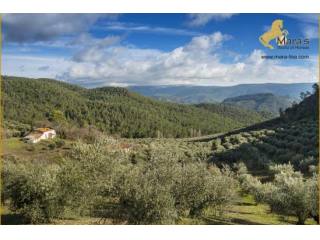 se vende Finca, caza mayor, cortijo..