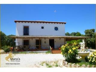 Farm equestrian property for sale..