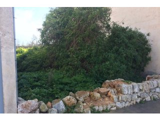 Plot in Santanyi