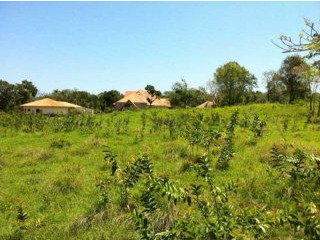 Residential Lot For Sale Between Sosua..