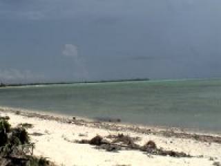 Bahia Soliman