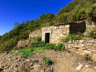 Barn Mare Immenso