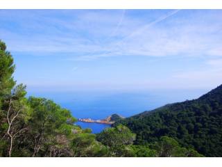 Plot of land for sale in Sa Tuna, Costa..