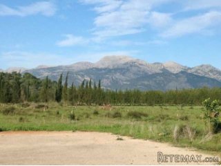 Son Vivot has approx. 500.000m2 of land, 100 year old..