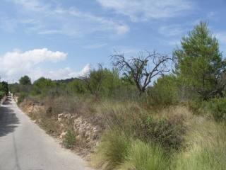 Plot in Javea
