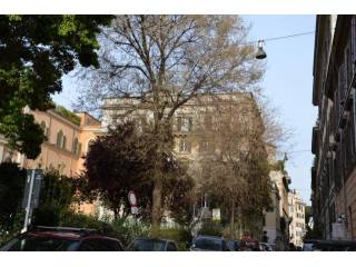 2 Bedrooms - Apartment - For Sale
