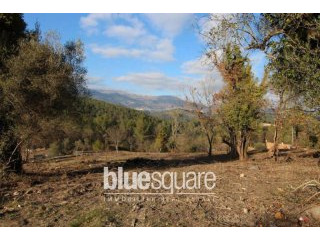 FOR SALE Constructible land with..