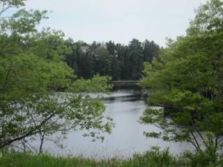 Land For Sale: Lot B-Y Arthur Hatt Road..