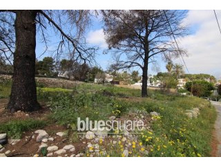 Nice plot for sale with sea views in..