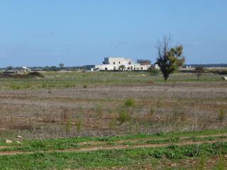 Masseria Tower - € 1500000