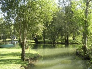 Gite Complex Set On 3,5 Hectares Of..