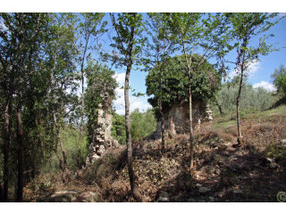 House - Umbria - For Sale