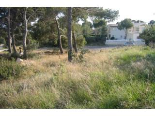 Flat Plot Of 1.138 M2 In One Of The..