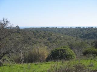 Te Koop: Bouwkavel In West Algarve..