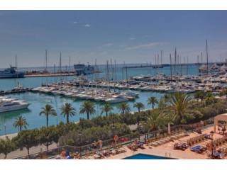 Large Reformed Flat In Paseo Maritimo..