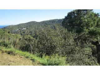 PLOTS IN ES VALLS