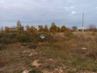 Istra, Poreč, Rogovići-Tar, građevinsko zemljište 1600m2