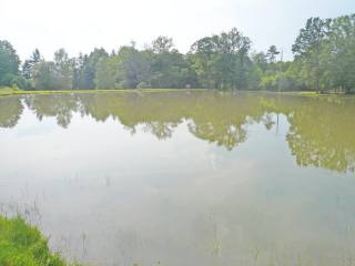 Lake With Fishing Licence In The..