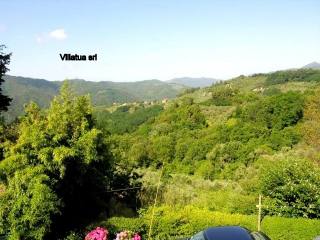 Village/town House - For Sale - Hills..
