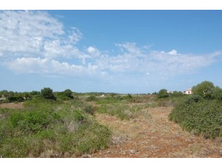 Plot close to the lighthouse of cap..