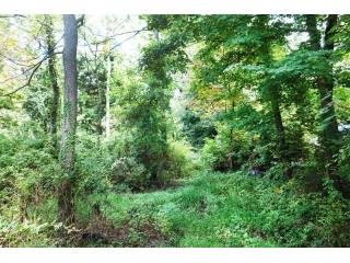 Land For Sale: Greenwich, Connecticut