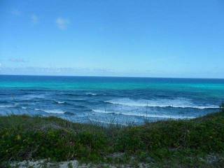 Singlefamilyvacant - Truly exceptional..