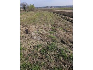 Građevinsko zemljište u Beretincu