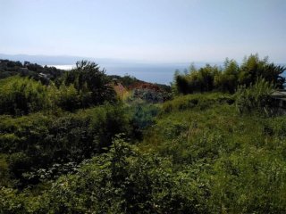 POLJANE - SVETI PETAR - GRAĐEVINSKI TEREN - 1.054 m2