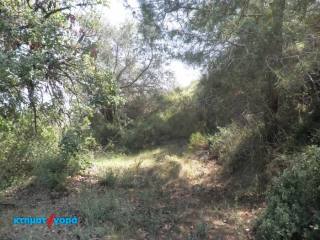 Residential Land in Lysos, Pafos
