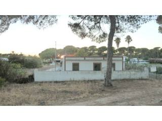 Finca Farm - RENOVATION PROJECT This..