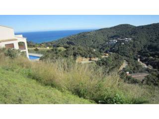 PLOTS IN ES VALLS