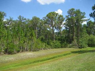 Land For Sale: 7431 201st E St..