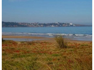 5 Bedroom House - For Rent -..