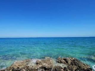 Singlefamilyvacant - Well Suited for a..