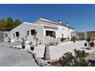 RESERVED WITH VOSS HOMES - A large, WOW, full of character..