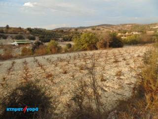 Agricultural Land in Psathi, Pafos
