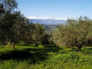 Crete Land Estate