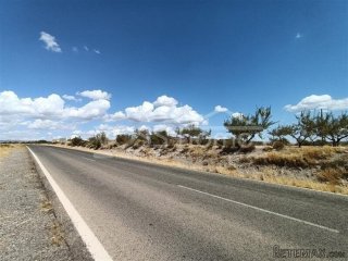 NEW LISTING - Plots of rustic land with almond trees for..