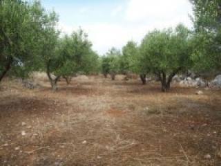 Plot For Sale East Of Chania