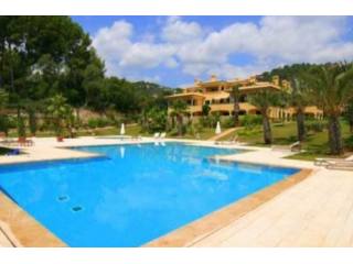Beautiful New Built Apartments With..