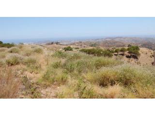 Land - BUILDING PLOT IN THE POPULAR..