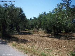 Land - Zakynthos - For Sale