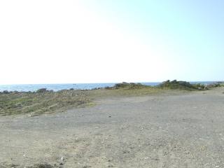 the sea garden