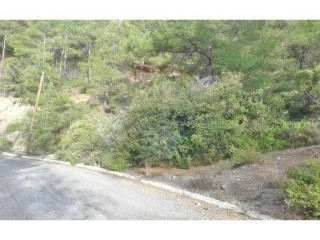 Plot of Land for Building - For Sale -..