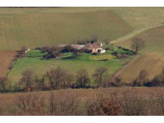Nr Beaumont-de-Lomagne (Tarn & Garonne)..