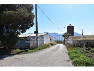 Urban plot of land of 1.500m2 with 3 old large warehouses..