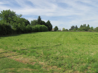 Building Land