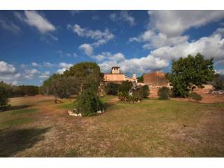 Unique Finca Located In The Outskirts..
