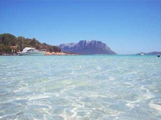 - Apartment - For Sale